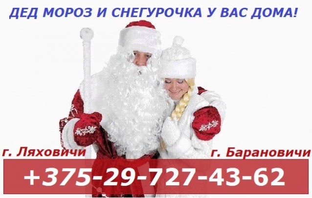 Дед Мороз и Снегурочка прямо у Вас дома! 